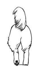 Correct hindquarters when moving